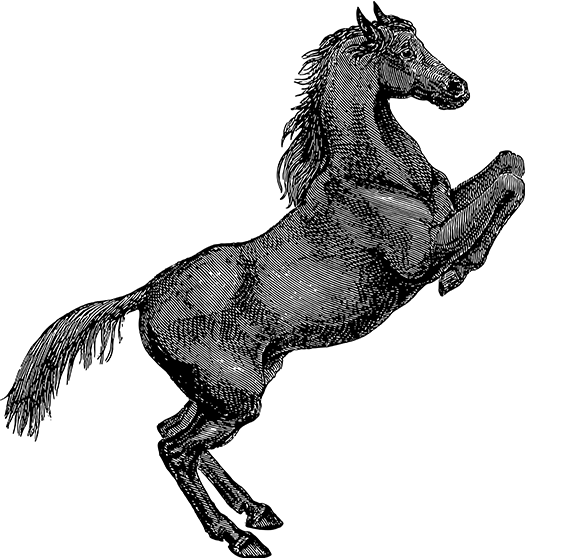 Kaiyun官网